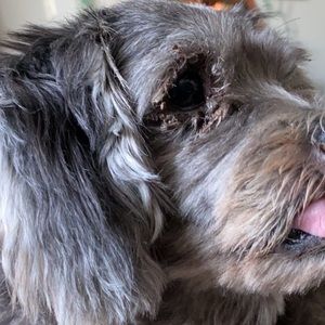 Meet your Posher, Yadira